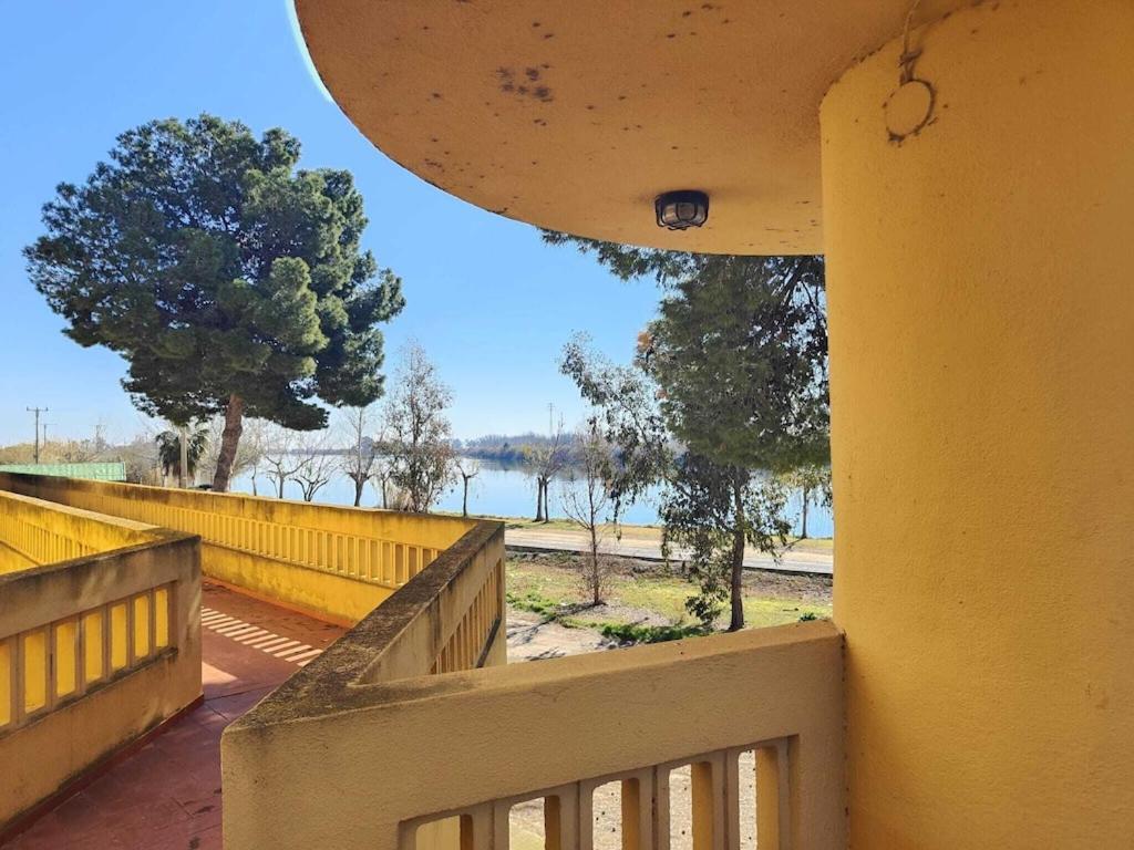 Superbe Appartement Terrasse Entierement Renove Au Bord De L'Ebre Далтебра Екстер'єр фото